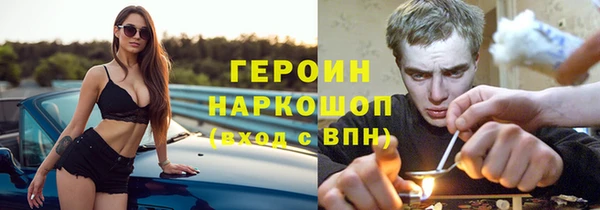 прущие грибы Ростов